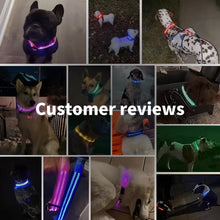 LED Glowing Dog Collar Adjustable Flashing Rechargea Luminous Collar Night Anti-Lost Dog Light Harnessfor Small Dog Pet Products